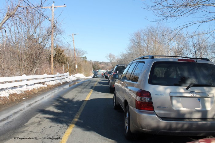 February 21, 2014 parking lot overflow