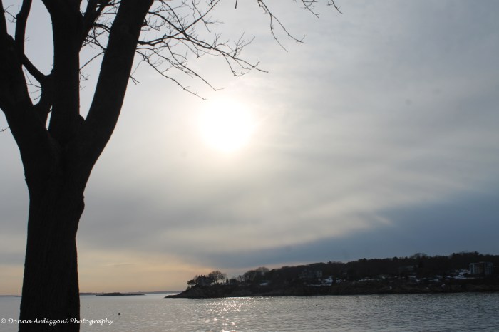 February 23, 2014 silver sky