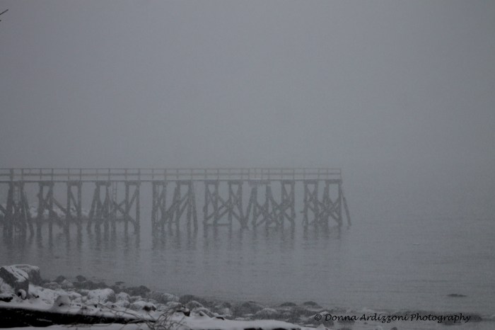 February 5, 2014 Magnolia Pier in the snow