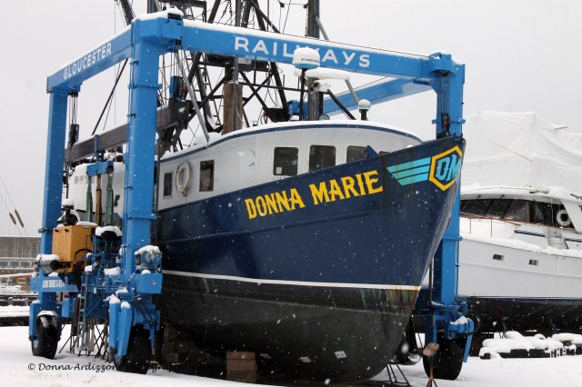 February 5, 2014 The Donna Marie