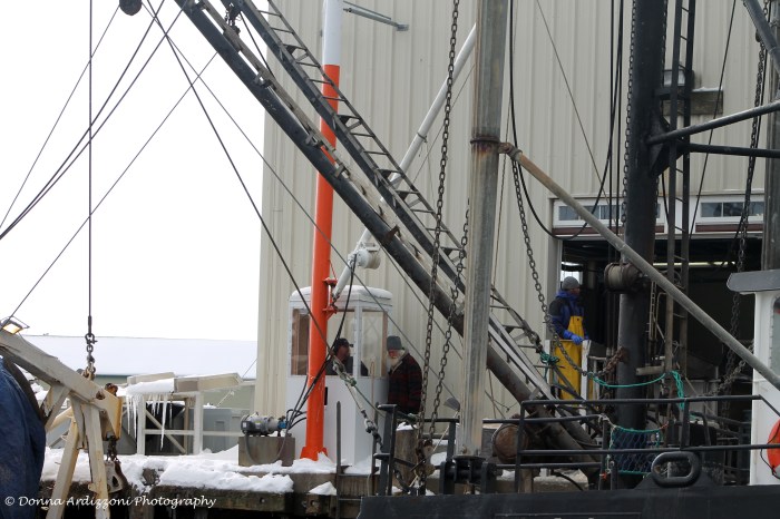 February 9, 2014 Theresa marie