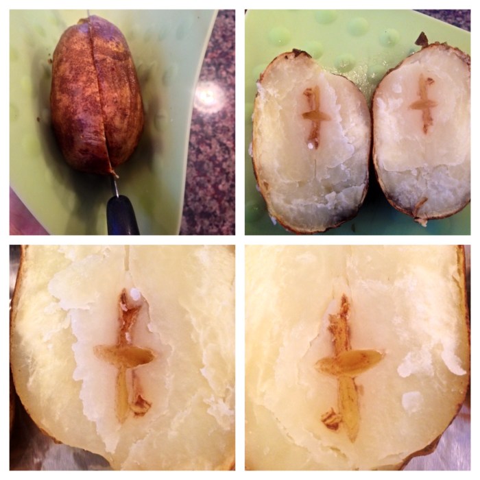 GMG CROSS POTATO post