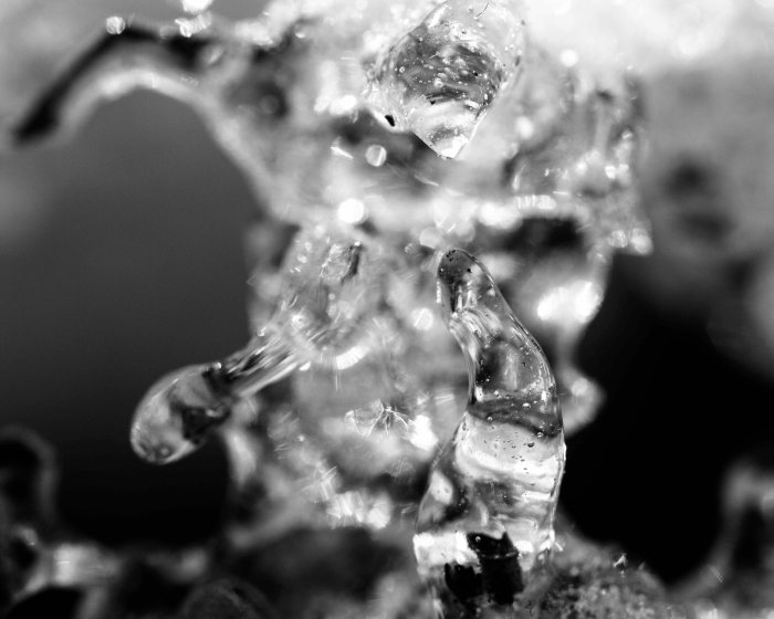 Can you see RoboCop?