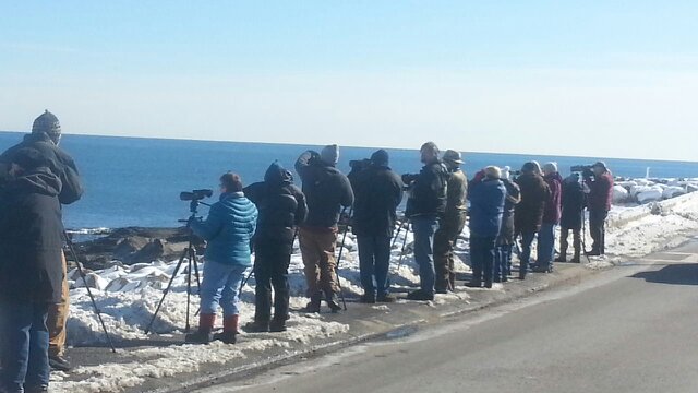 20140208_121009.jpg image