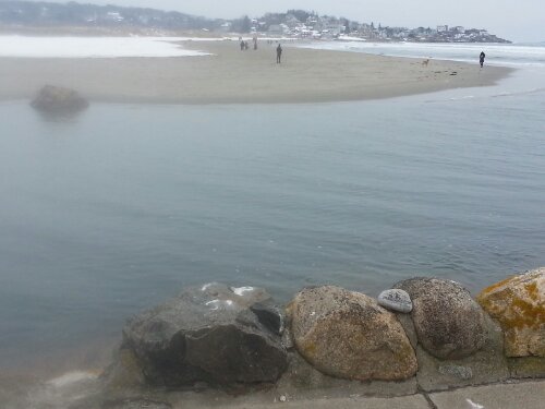 20140215_115514.jpg image