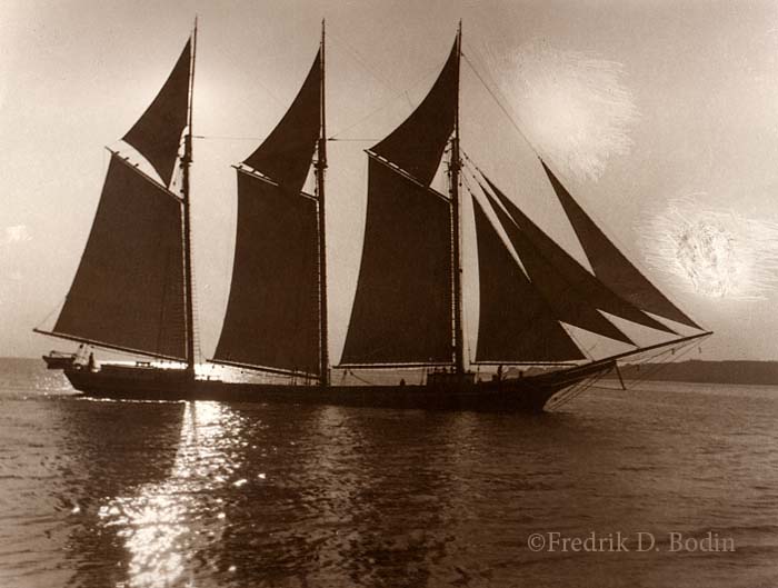 Last night a friend and I watched "The Sea Wolf." released in 1941. The Warner Bros. black & white film starred Edward G. Robinson and Ida Lupino. The movie is set on the three masted schooner "Ghost", which looks like a schooner photo I have in my collection. After research on Google, I don't think there' a match. Based on a novel by Jack London, I believe the locaton is the Pacific West Coast.