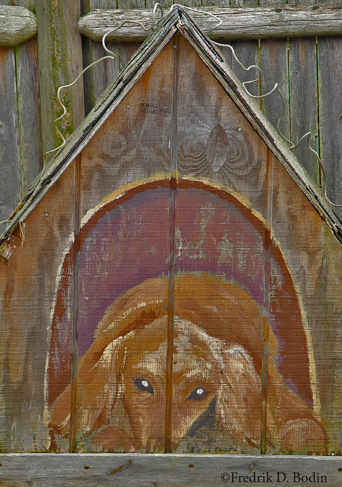 Dog House, Rockport