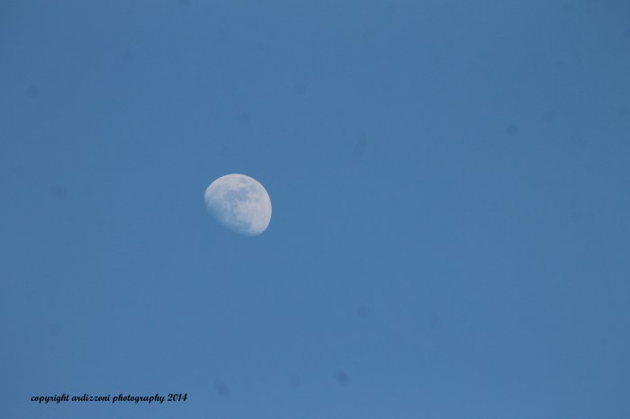 March 11, 2014 love when you can see the moon during the day