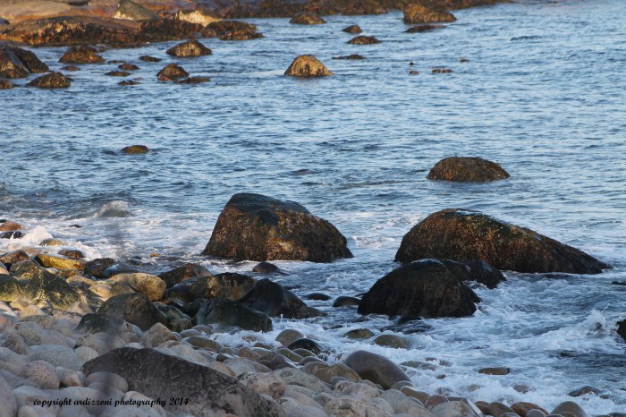 March 11, 2014 sun on the rocks