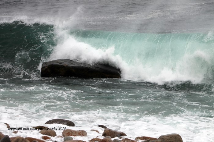 March 26, 2014 I think the ocean is singing