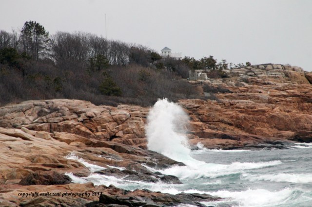 March 26, 2014 What is the ocean saying