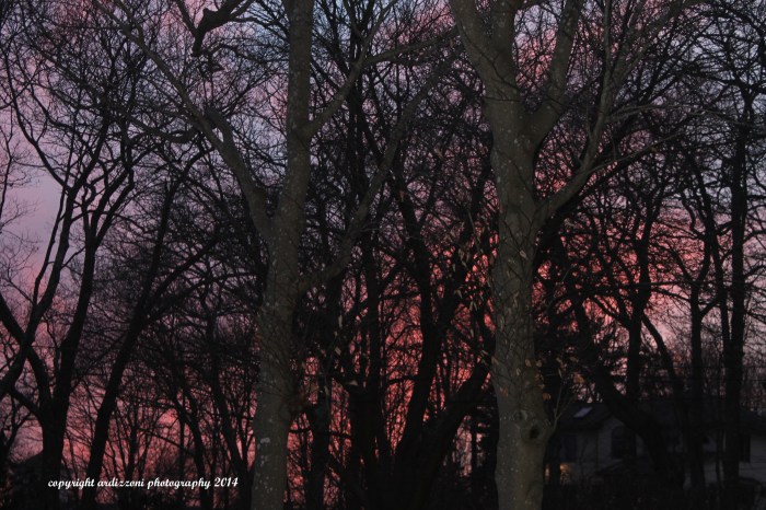 March 3, 2014 sunset on Strawberry Cove