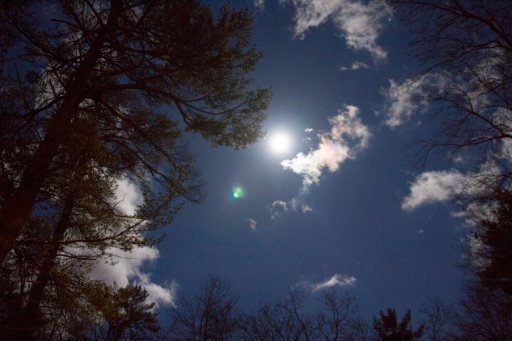 Late on a windy night