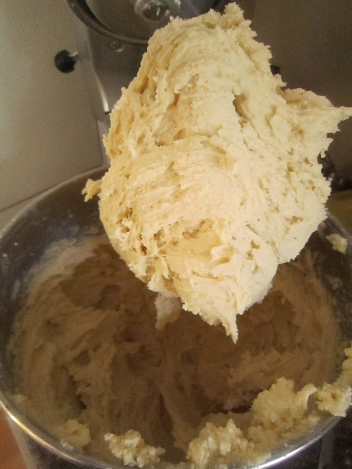 ricotta lobstaer tail 007