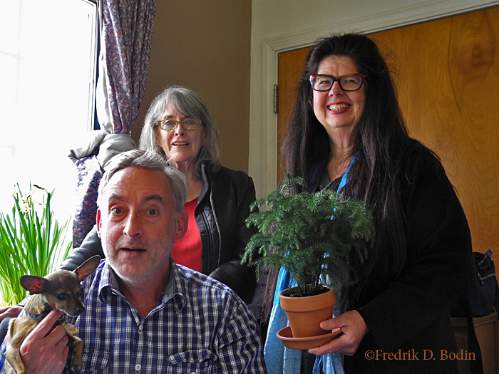 Chiwawa Pip, Book Designer Steve Bridges, Block Party Organizer Valerie Markley, Chef Debbie, Demakis, and a Norfolk Island Pine all came unannounced to visit me. All old friends, and the pine tree never left.
