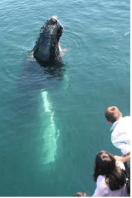 Screen-Shot-2014-02-26-at-9_01_57-AM