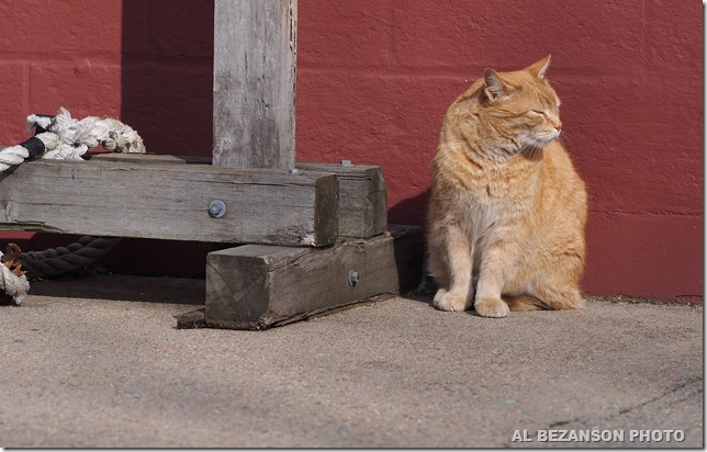 Stubby on the equinox