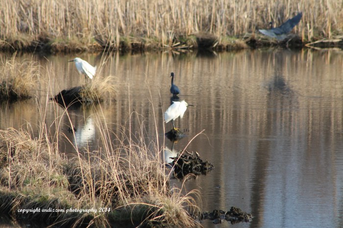 April 25, 2014 awesome