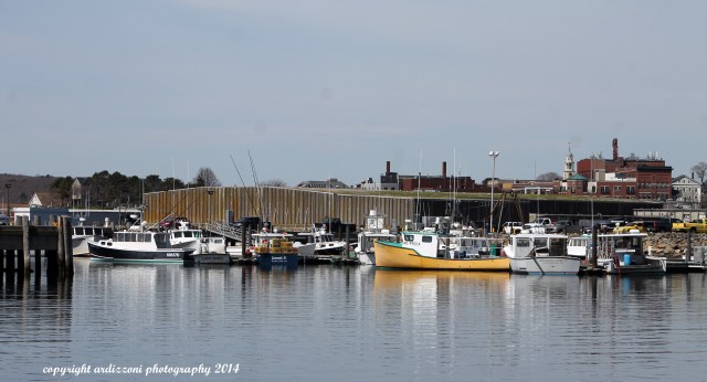 April 26, 2014 view from the dock