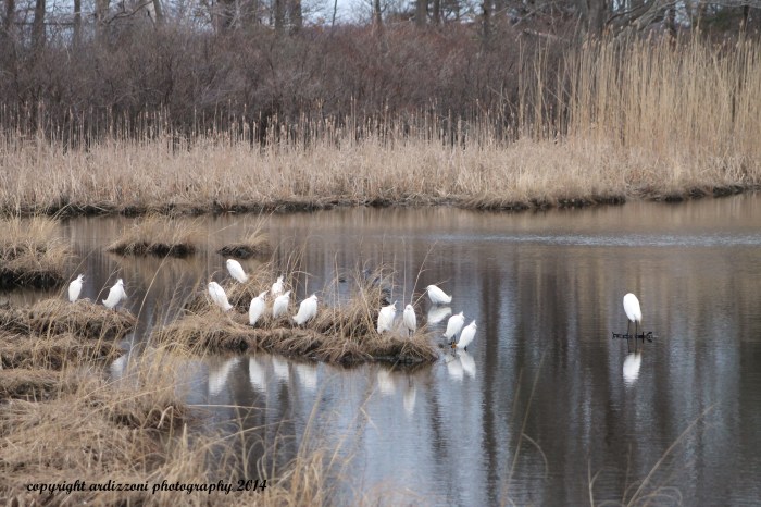 April 4, 2014 Looks like a class