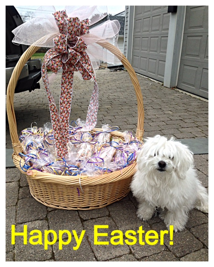 Easter basket Coconut