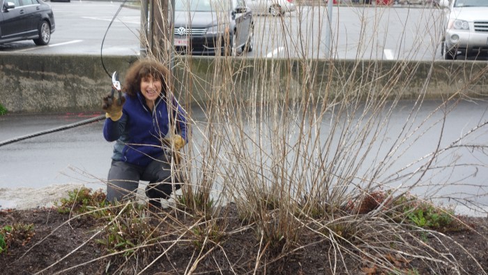 Lise Breen ©Joey Ciaramitaro 2014