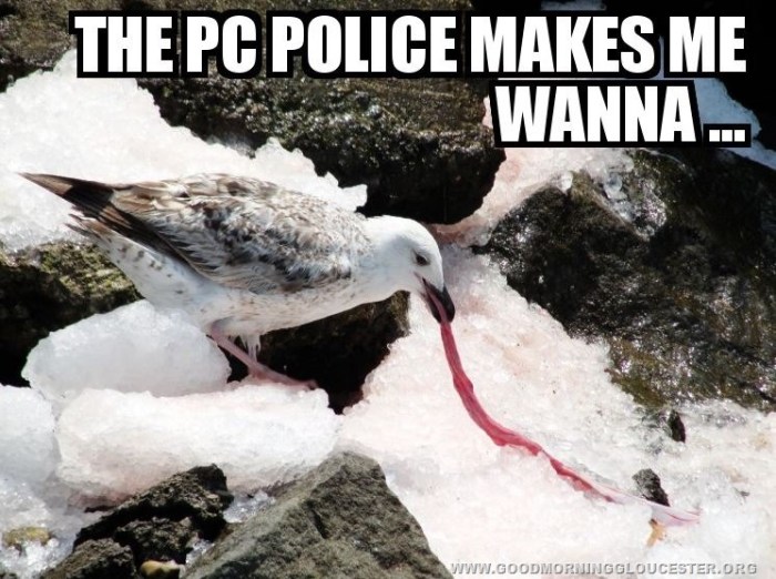 PCPOLICEPUKE.jpg