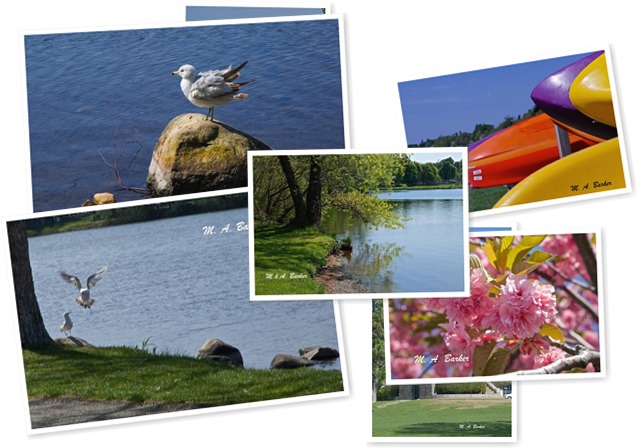 View album View album