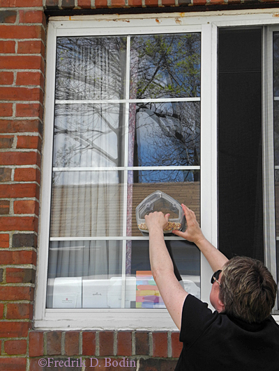 Last week my friend Catherine and her family gave me a stick-on bird feeder for my window, along with a bag of wild bird food. Janet installed it last Saturday, May 3rd. I was told that birds will discover the seed banquet in a few days to a week. I can't wait to say "Hello Birdie!" 