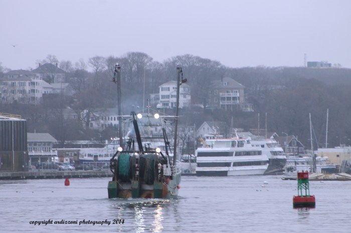 May 1, 2014 foggy day