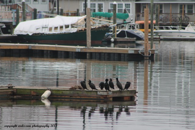 May 1, 2014 where is spring