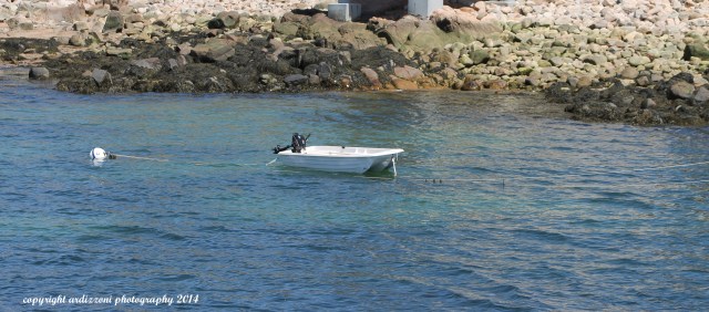 May 11, 2014 lonely dinghy