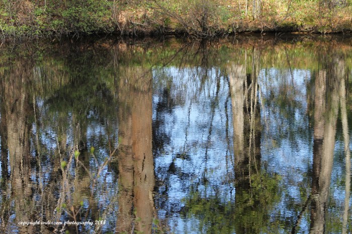 May 14, 2014 reflections in spring