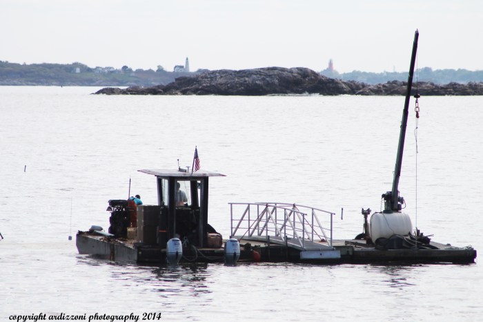 May 20, 2014 putting in the moorings