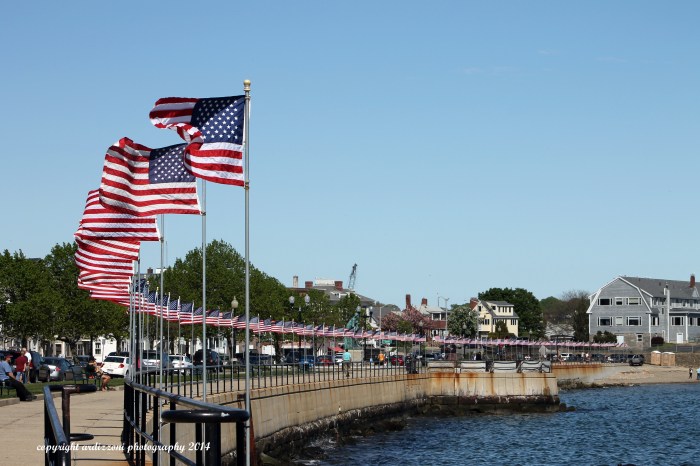May 21, 2014 flags waving on the blvd.