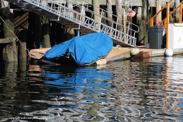 May 24, 2014Blue reflections