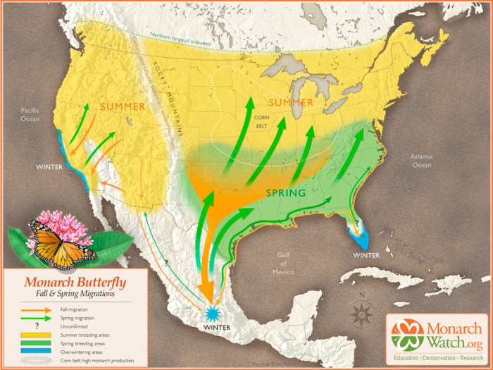 Monarch Migration Map