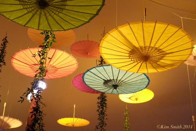 parasols -2 ©Kim Smith 2014