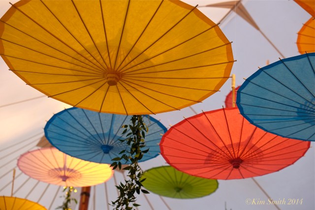 Revelation. Productions Willowdale Estate ©Kim Smith 2014