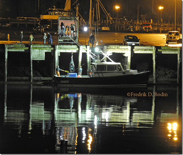 While dining at the Seaport Grille one night, I saw a huge tuna being offloaded across the channel under the movie lights (right). It's great to live here. www.cruiseportgloucester.com