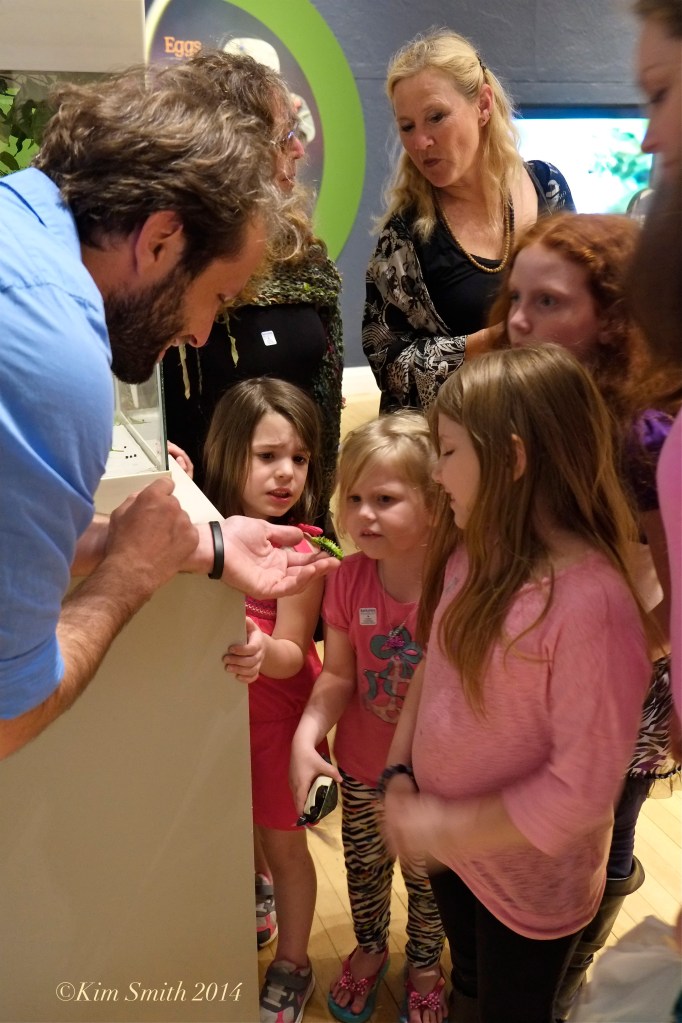 Berkshire Museum ©Kim Smith 2014 Sam Jaffe