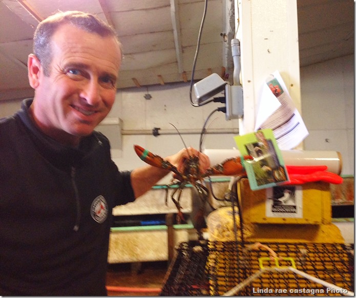 get-attachment-1.aspx