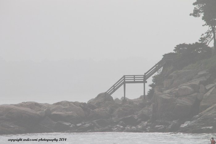 June 14, 2014 Staircase in the fog at Coolridge Reservation