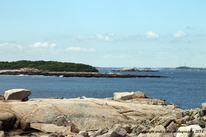 June 6, 2014 looks like a great place to take a nap