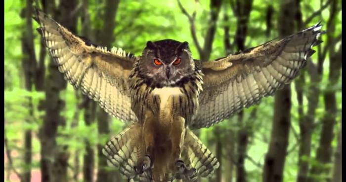 Mysteries of the unseen world