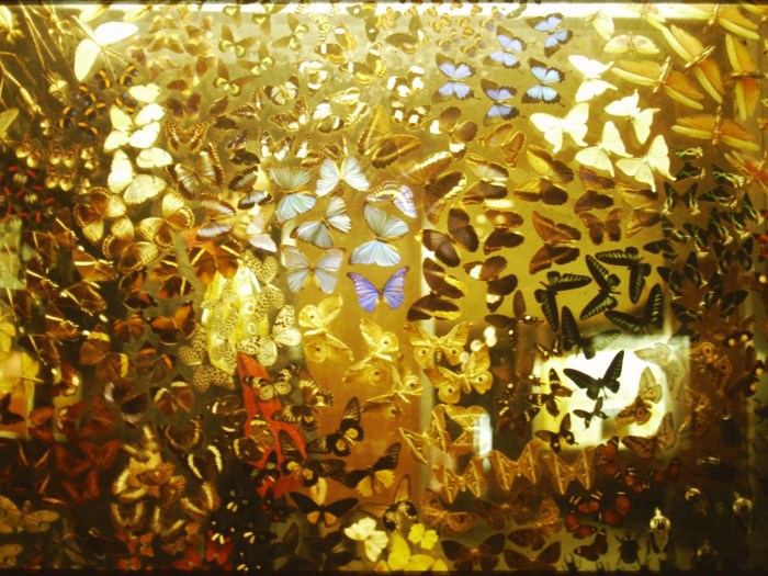 My beautiful picture