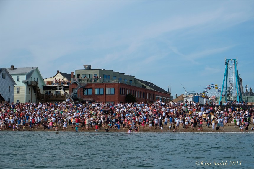 Saint Peter's Fiesta Greasy Pole Pavilion Beach ©Kim Smith 2014