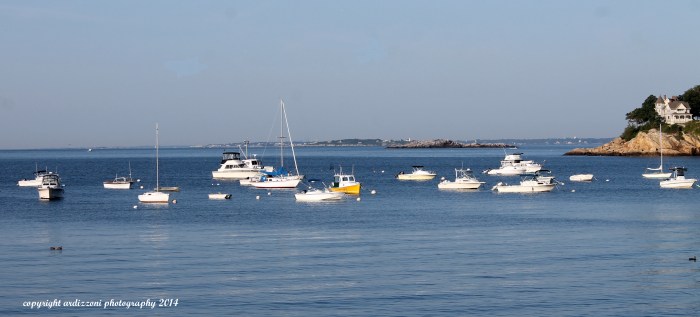 August 17, 2013 early morning in Magnolia Harbor