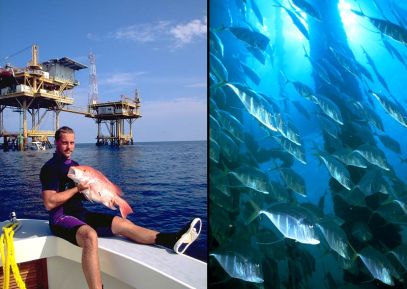 C13_fig_13_4-aquatic-science-texas