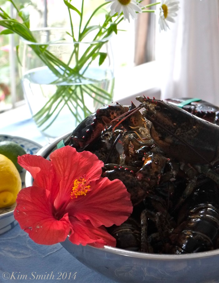 Captain Joe and Sons Lobster ©Kim Smith 2014 copy